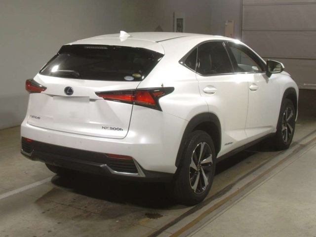 LEXUS NX 2020