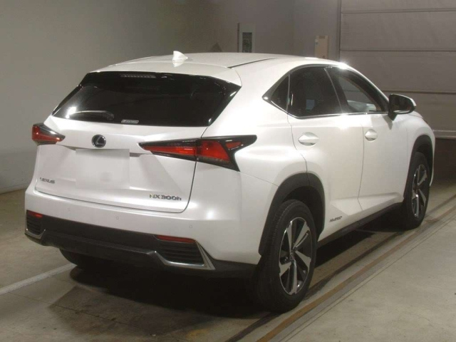 LEXUS NX 2020