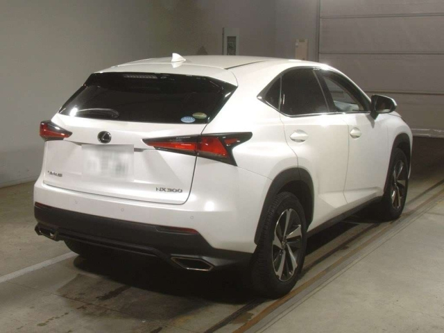 LEXUS NX 2018