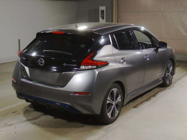NISSAN LEAF 2019