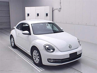 VOLKSWAGEN THE BEETLE