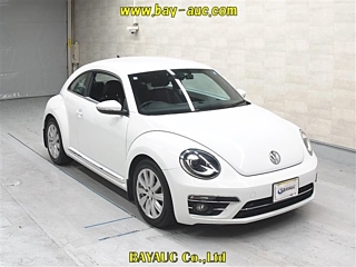 VOLKSWAGEN THE BEETLE