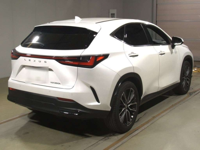 LEXUS NX 2022