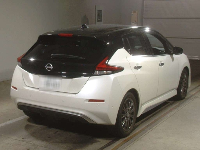 NISSAN LEAF 2020