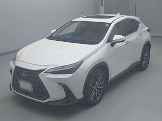 LEXUS NX 2022