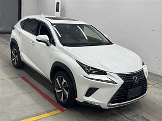 LEXUS NX 2020