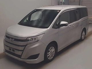 TOYOTA NOAH 2019
