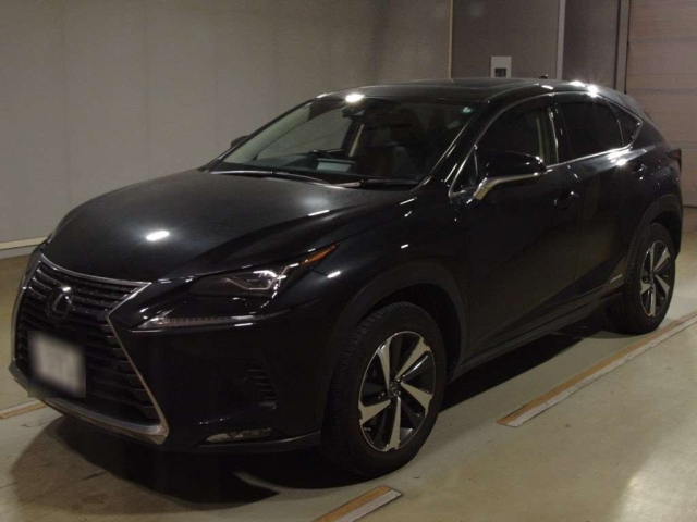 LEXUS NX 2019