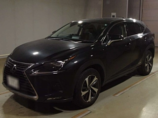 LEXUS NX 2019