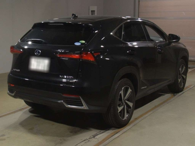 LEXUS NX 2019