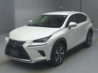 LEXUS NX 2020