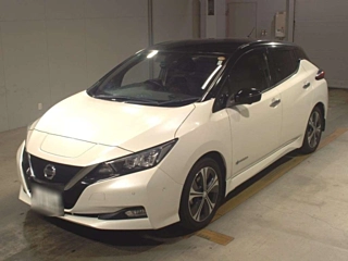 NISSAN LEAF 2018