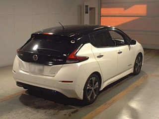 NISSAN LEAF 2018
