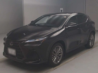 LEXUS NX 2023