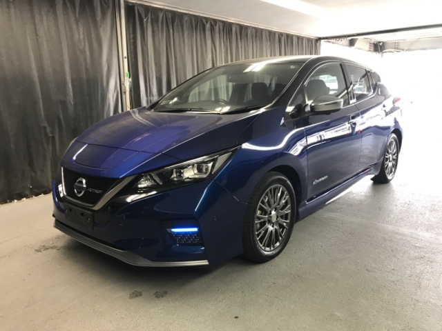 NISSAN LEAF 2020