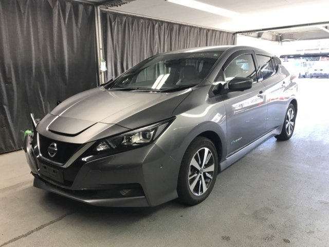NISSAN LEAF 2019
