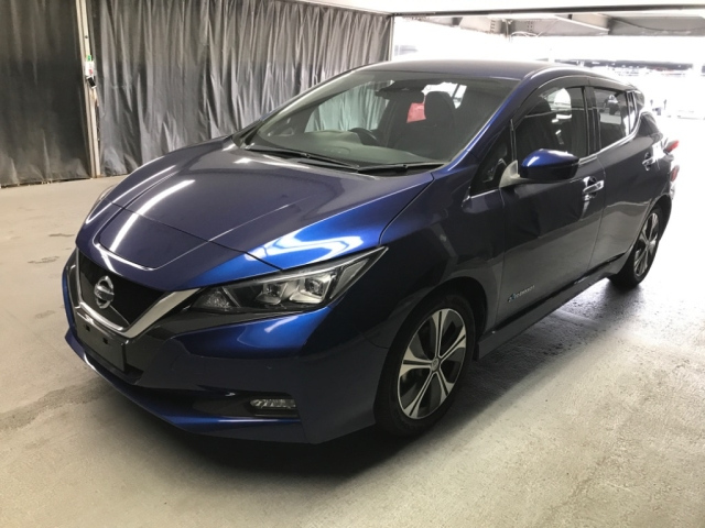 NISSAN LEAF 2018