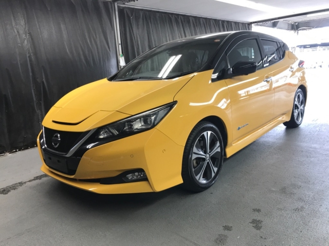NISSAN LEAF 2018