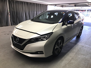NISSAN LEAF 2019