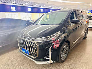 Заказать MAXUS OTHER