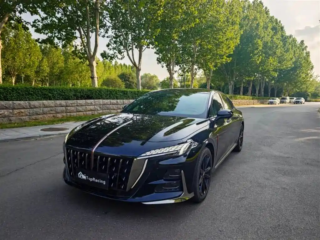 Аукционный лист HONGQI H6 2024