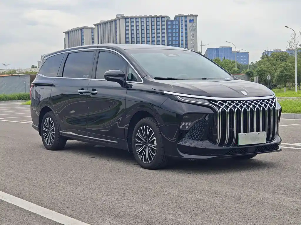 DONGFENG OTHER 2024