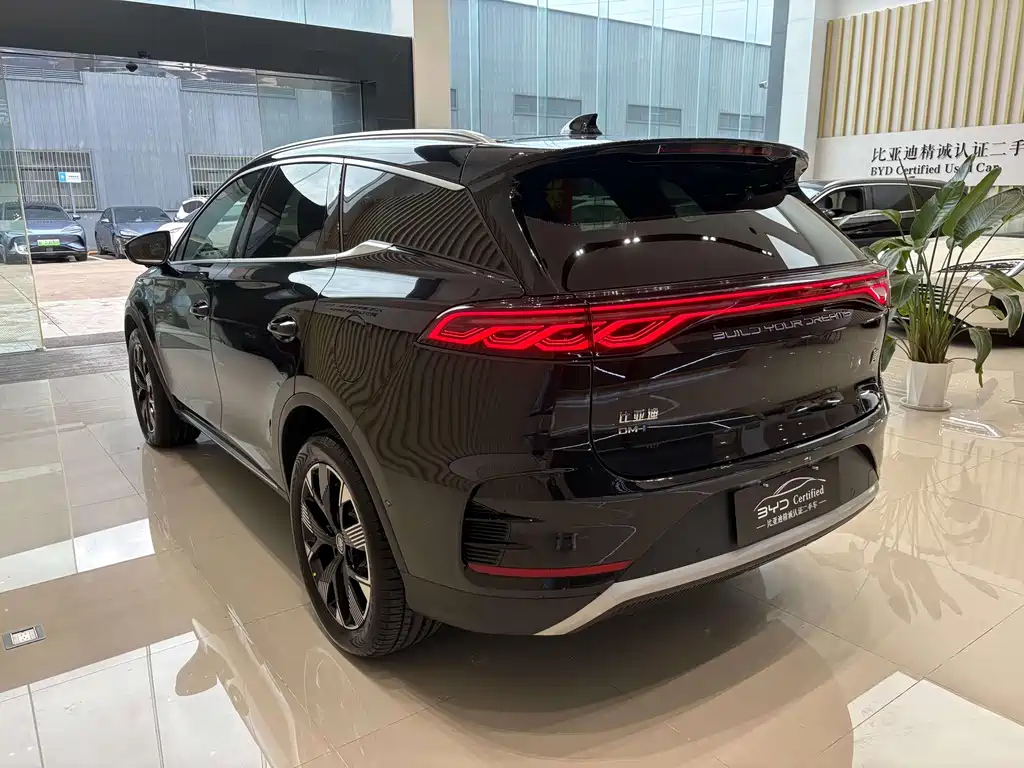 BYD TANG NEW ENERGY 2024