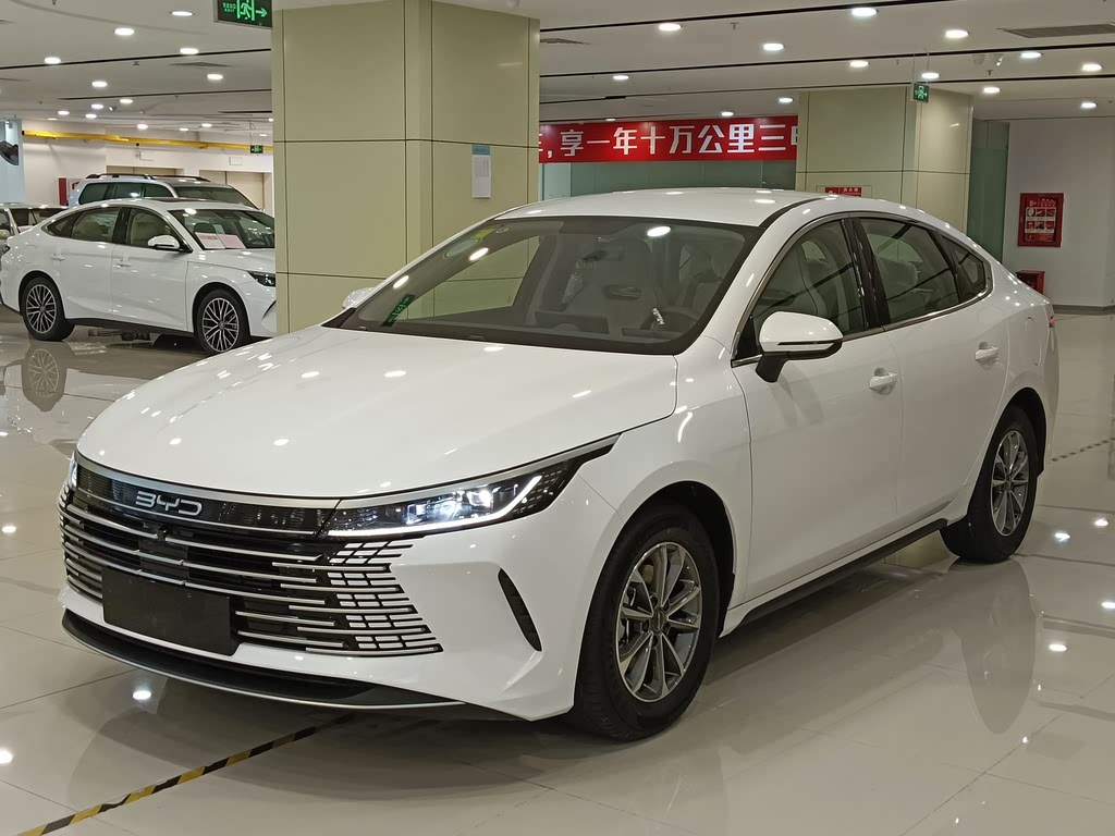 BYD DESTROYER 05 2024
