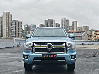 great-wall other