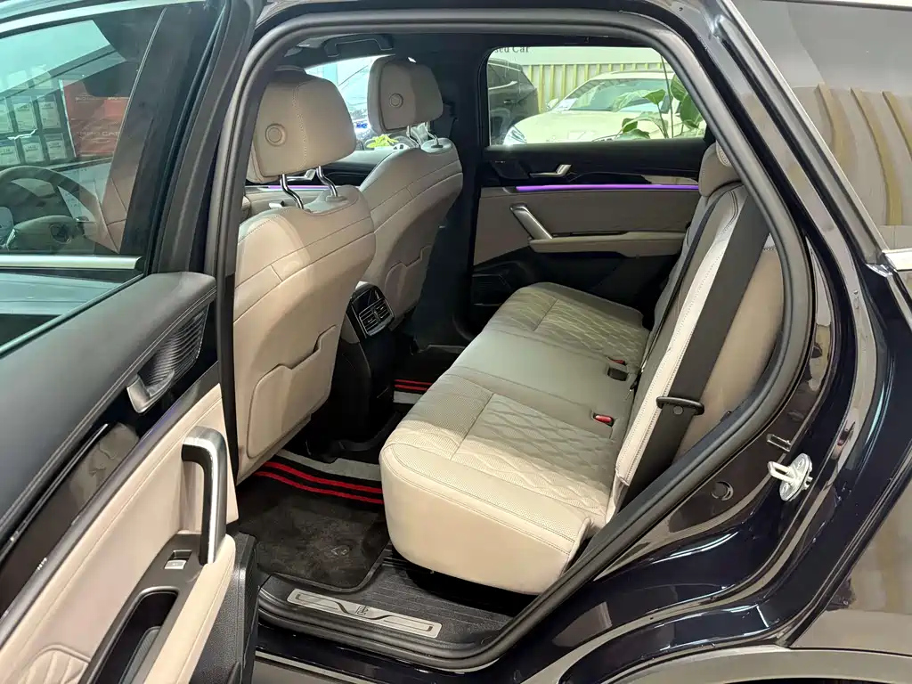 BYD TANG NEW ENERGY 2024