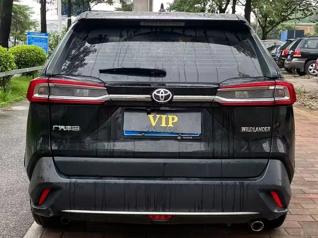 TOYOTA WILDLANDER 2022