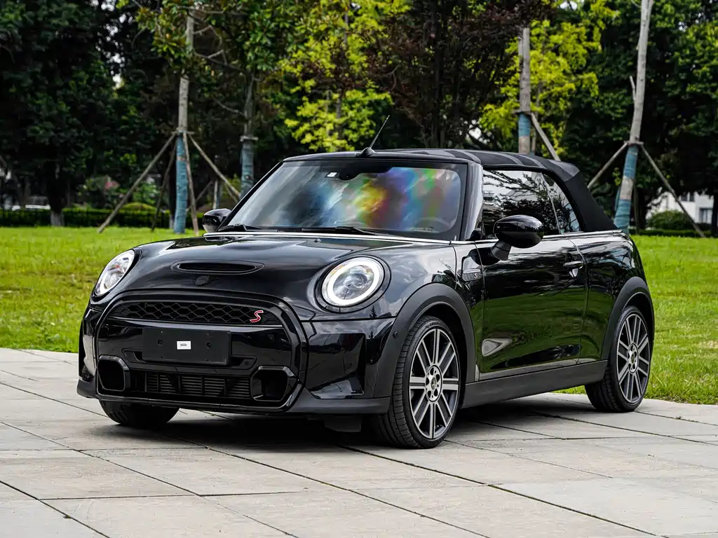 MINI OTHER 2023