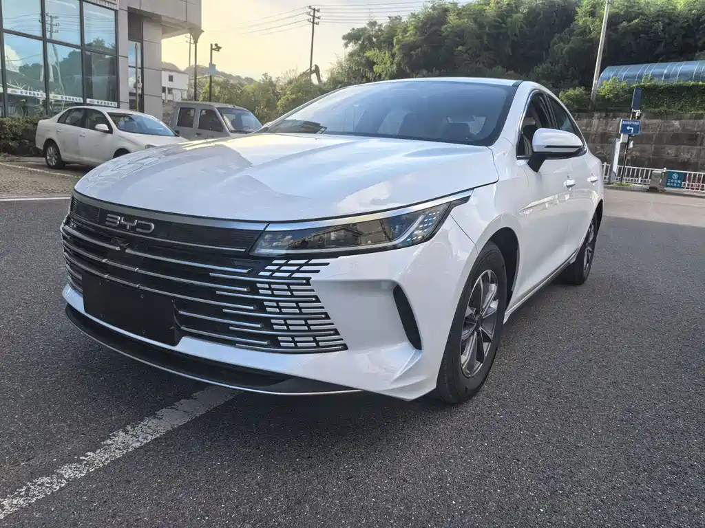 BYD DESTROYER 05 2025