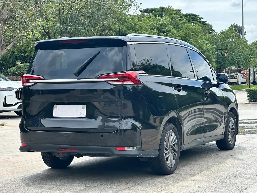 MAXUS OTHER 2019