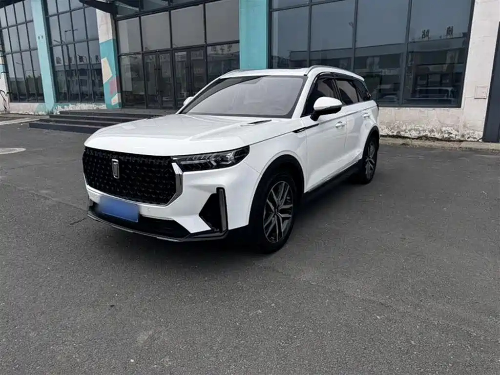 BESTURN T99 2021