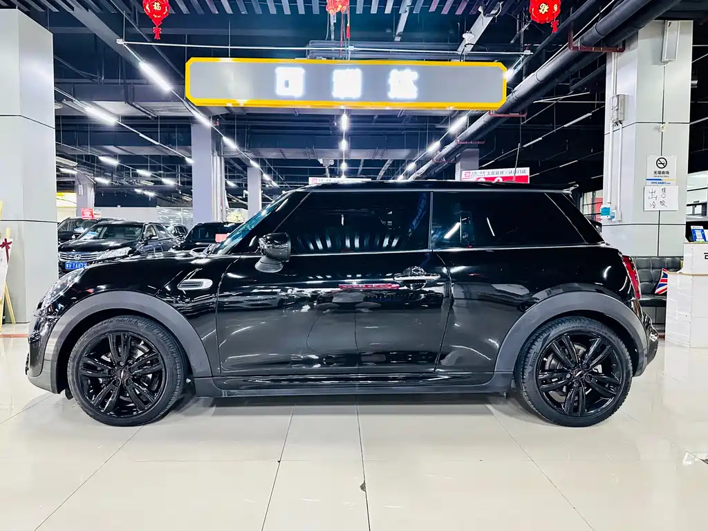 MINI OTHER 2021