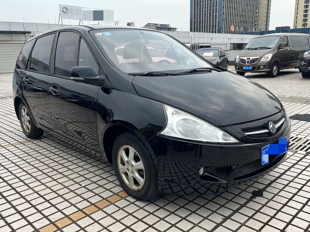 DONGFENG JOYEAR 2010