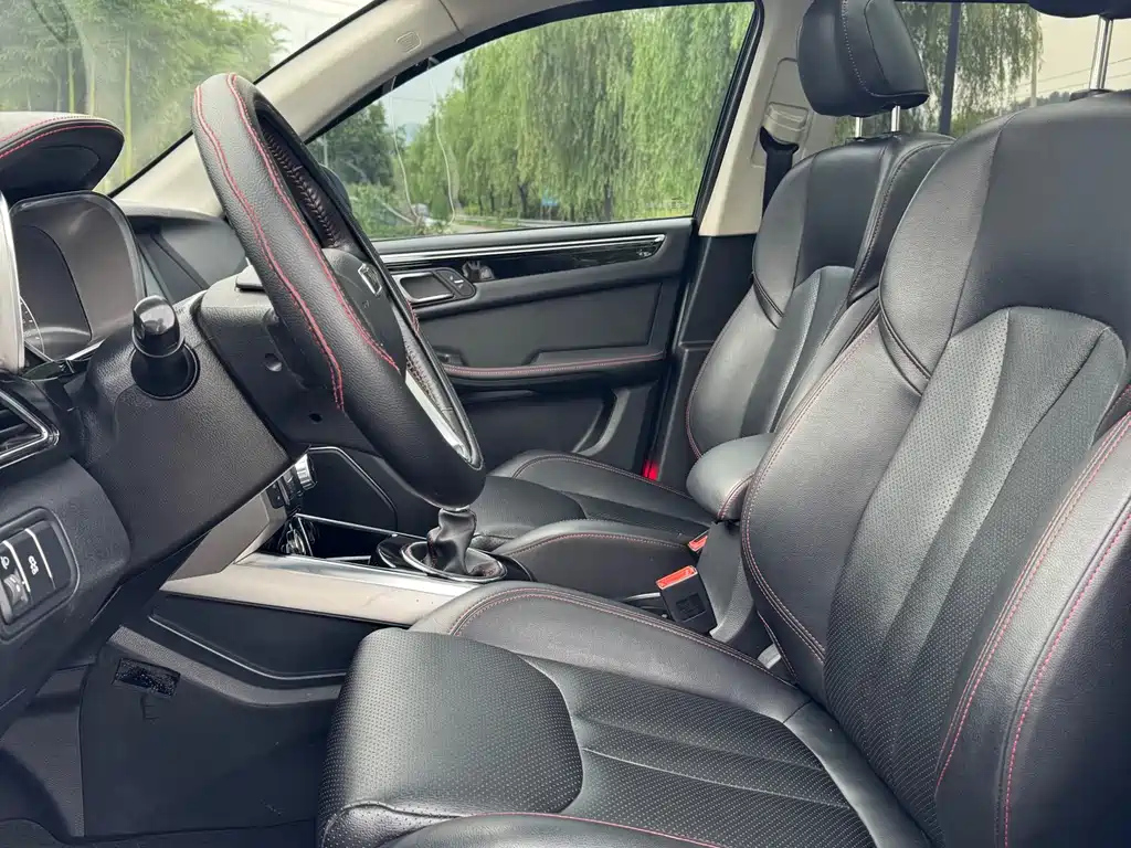 ZOTYE BIG 迈X5 2017