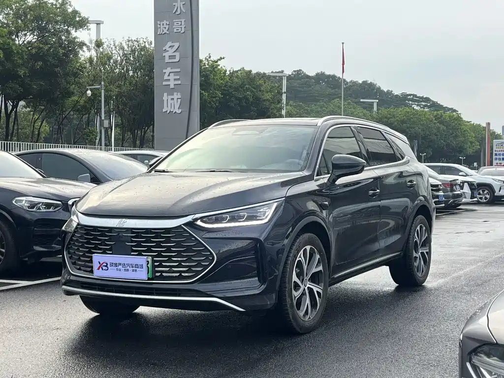 Аукционный лист BYD TANG NEW ENERGY 2025