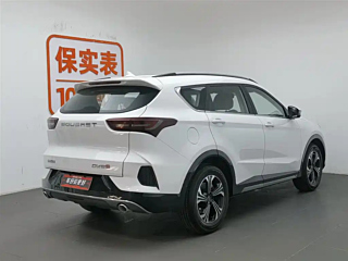 Заказать SOUEAST DX8S