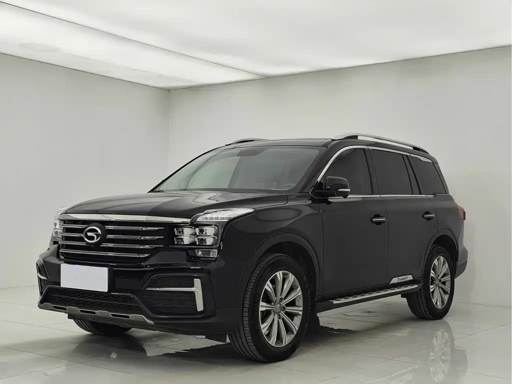 Аукционный лист TRUMPCHI GS8 2020
