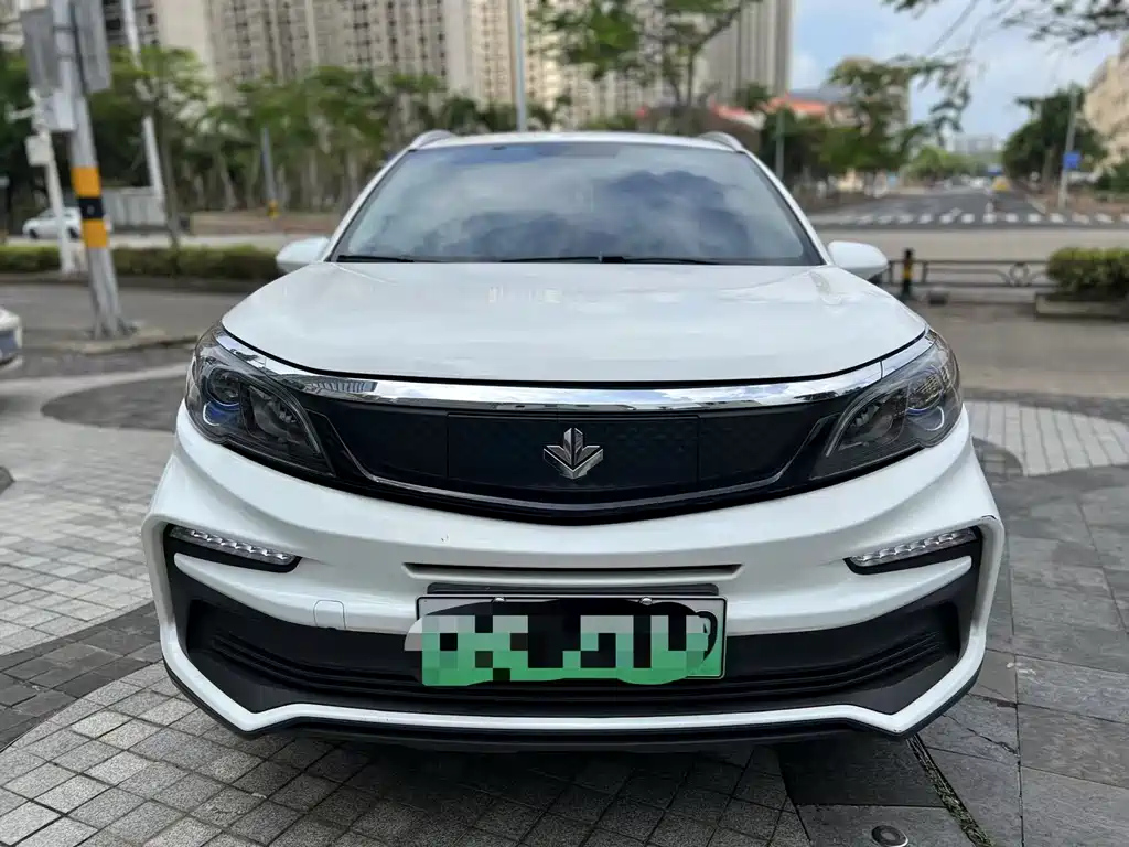 LIVAN MAPLE 30X 2020