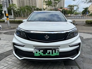 Заказать LIVAN 枫叶30X