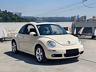 VOLKSWAGEN BEETLE  2010