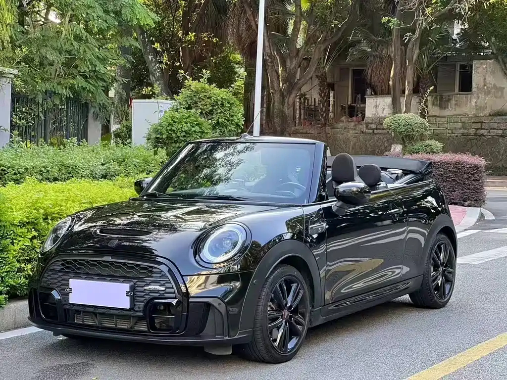 MINI OTHER 2022