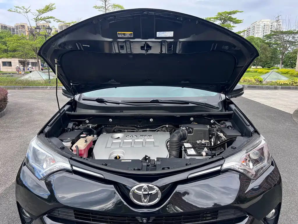 TOYOTA RAV4 RONGFANG 2019