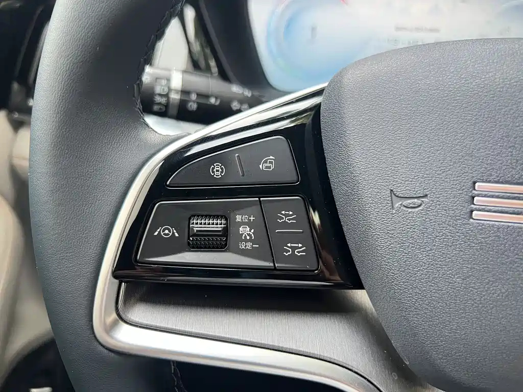 BYD SONG PLUS NEW ENERGY 2024