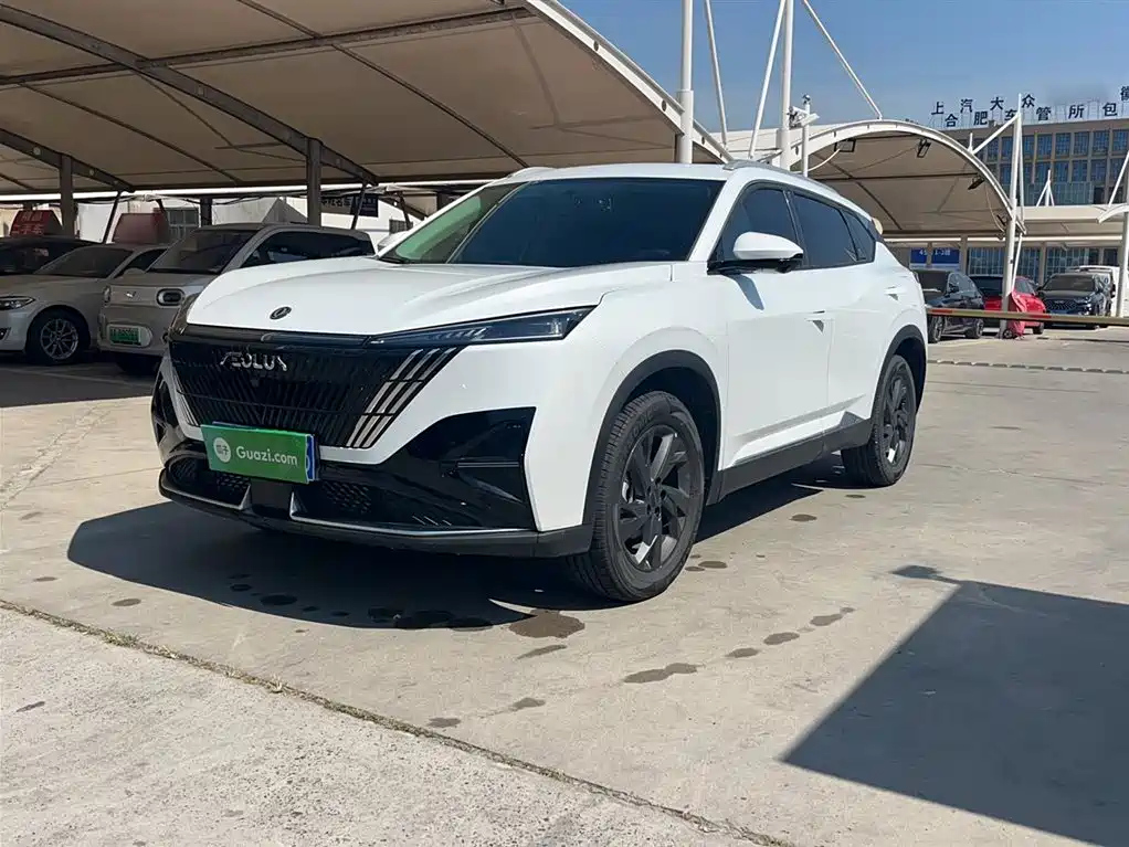 DONGFENG OTHER 2025