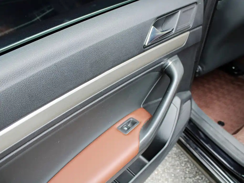 VOLKSWAGEN LAVIDA 2019