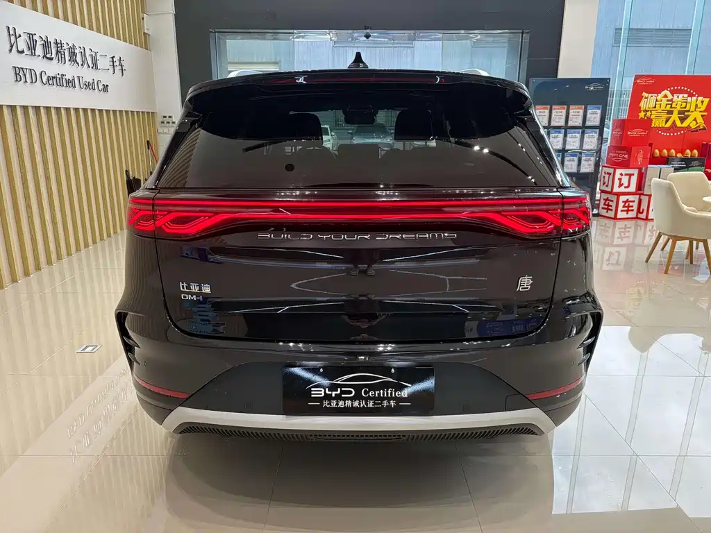 BYD TANG NEW ENERGY 2024